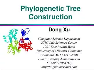 Phylogenetic Tree Construction