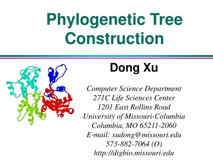 phylogenetic tree construction