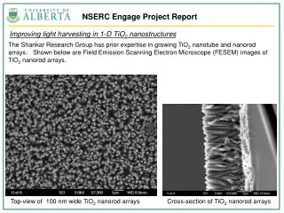 NSERC Engage Project Report