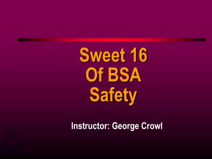 sweet 16 of bsa safety