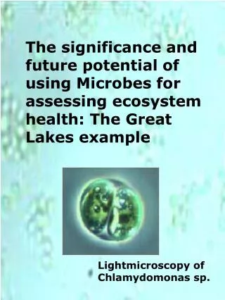 The significance and future potential of using Microbes for assessing ecosystem health: The Great Lakes example