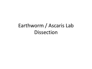 Earthworm / Ascaris Lab Dissection