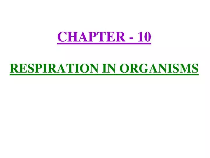 chapter 10 respiration in organisms