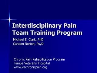 Interdisciplinary Pain Team Training Program