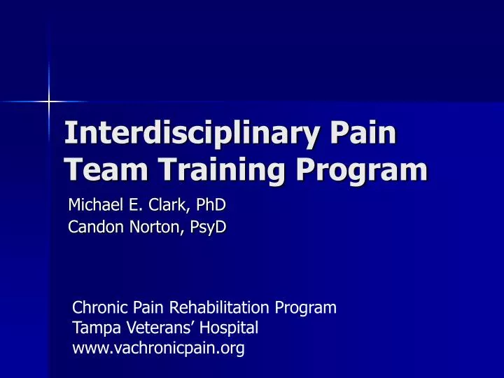 interdisciplinary pain team training program