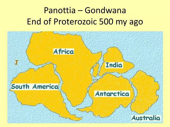 panottia gondwana end of proterozoic 500 my ago
