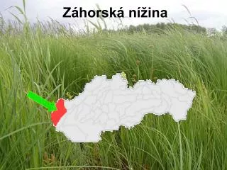 z horsk n ina