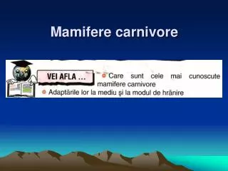 Mamifere carnivore