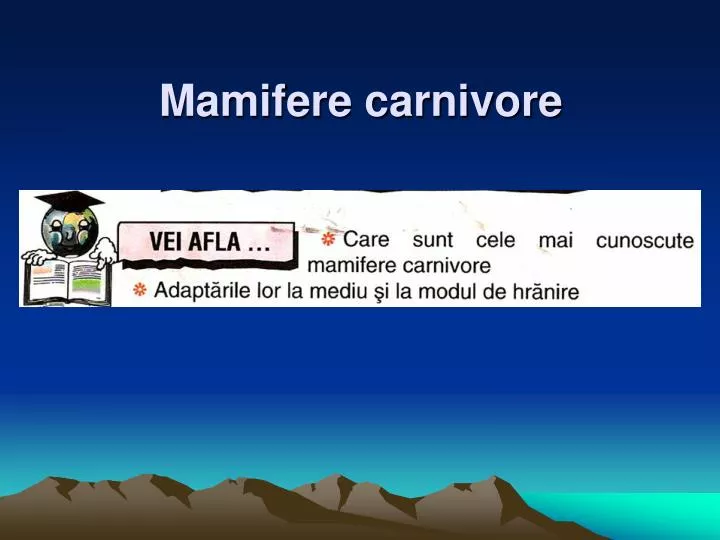 mamifere carnivore