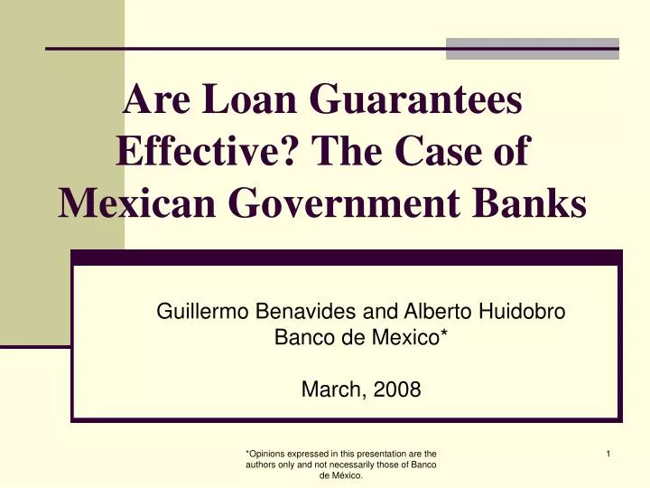 are loan guarantees effective the case of mexican government banks
