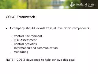 COSO Framework