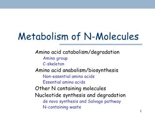 Metabolism of N-Molecules