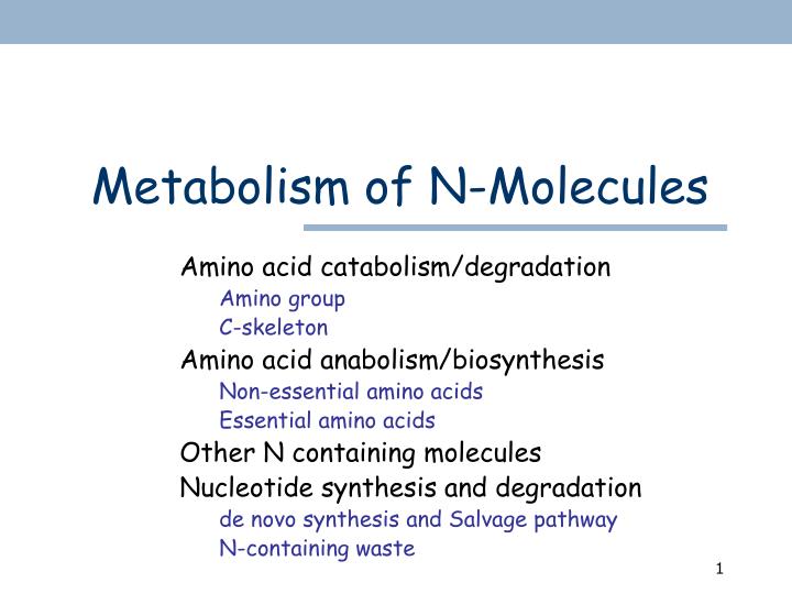 metabolism of n molecules