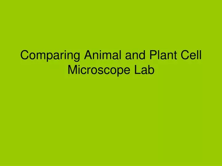 comparing animal and plant cell microscope lab