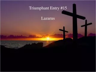 Triumphant Entry #15 Lazarus