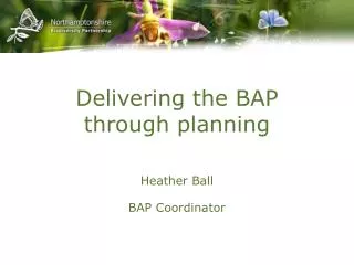 Delivering the BAP through planning