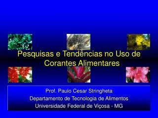 Prof. Paulo Cesar Stringheta Departamento de Tecnologia de Alimentos Universidade Federal de Viçosa - MG