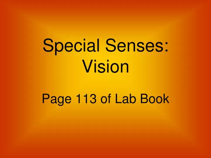 special senses vision