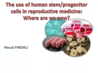 The use of human stem/progenitor cells in reproductive medicine: Where are we now?