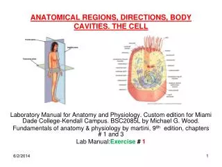 ANATOMICAL REGIONS, DIRECTIONS, BODY CAVITIES. THE CELL
