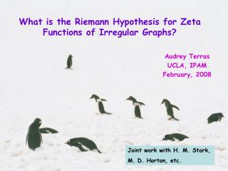 What is the Riemann Hypothesis for Zeta Functions of Irregular Graphs?