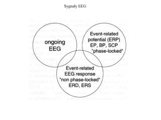 sygna y eeg