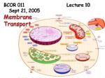 BCOR 011 				Lecture 10 Sept 21, 2005 Membrane Transport - slide 1