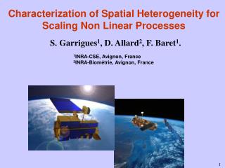 Characterization of Spatial Heterogeneity for Scaling Non Linear Processes