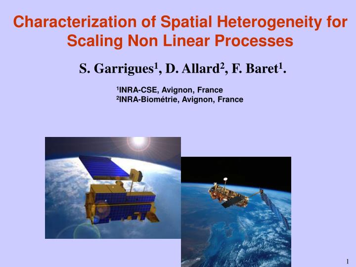 characterization of spatial heterogeneity for scaling non linear processes