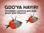 GDO NEDİR? - slide 1