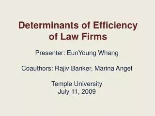 Determinants of Efficiency of Law Firms