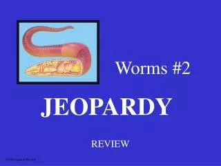 worms 2
