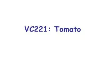 VC221: Tomato