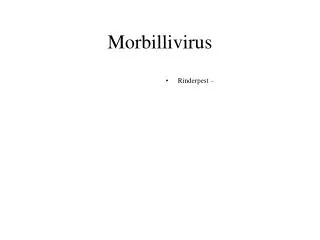 Morbillivirus