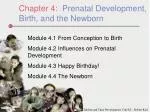 Chapter 4: Prenatal Development, Birth, and the Newborn - slide 1