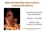 Maternal Mortality Interventions: A Systematic Review - slide 1