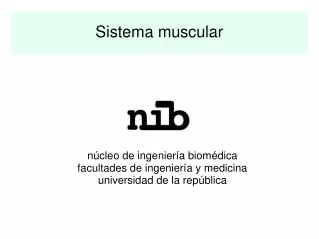 sistema muscular