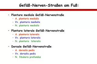 gef nerven stra en am fu