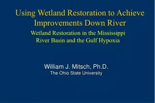 Using Wetland Restoration to Achieve Improvements Down River
