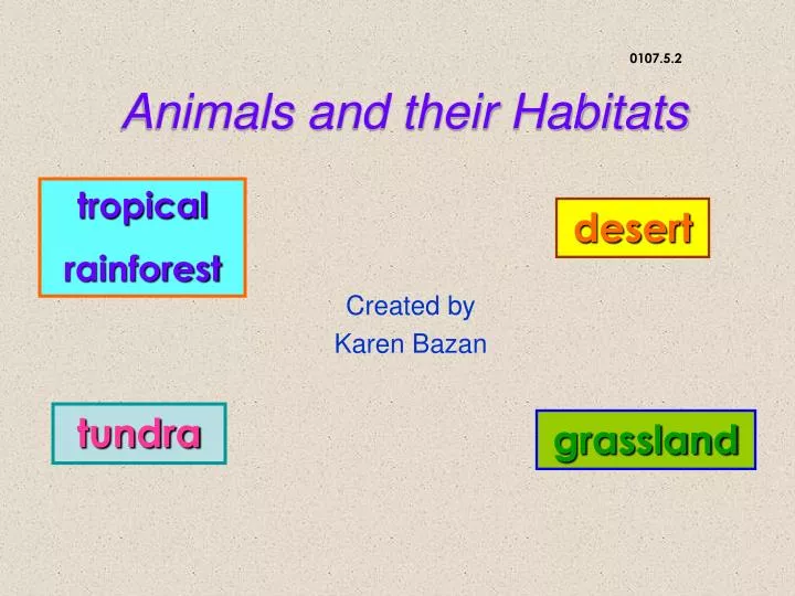 animals and their habitats