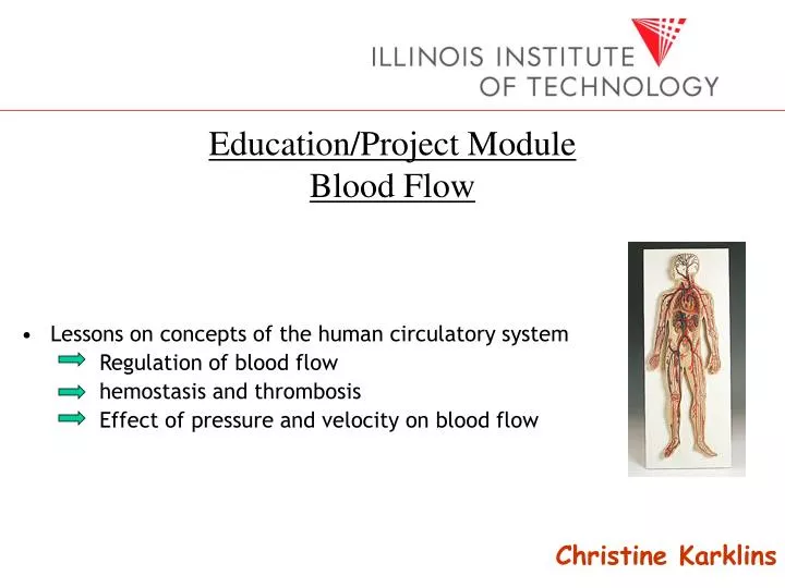 education project module blood flow