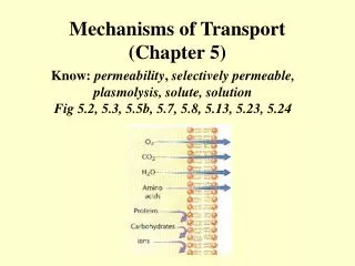 Mechanisms of Transport (Chapter 5)