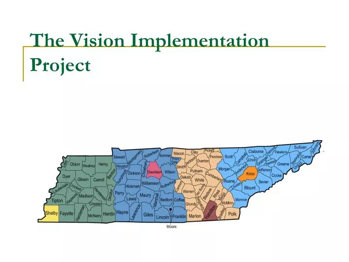 the vision implementation project