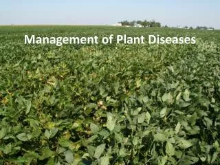 Management of Plant D iseases