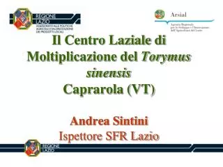 Il Centro Laziale di Moltiplicazione del Torymus sinensis Caprarola (VT) Andrea Sintini Ispettore SFR Lazio