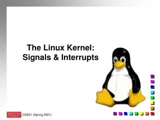 The Linux Kernel: Signals &amp; Interrupts