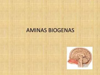 aminas biogenas