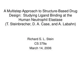 Richard S. L. Stein CS 379a March 14, 2006
