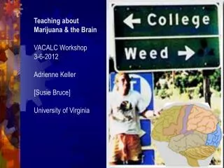 Teaching about Marijuana &amp; the Brain VACALC Workshop 3-6-2012 Adrienne Keller [ Susie Bruce ] University of Virgini