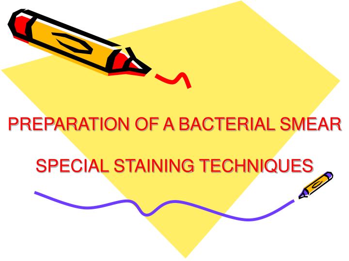 preparation of a bacterial smear special staining techniques